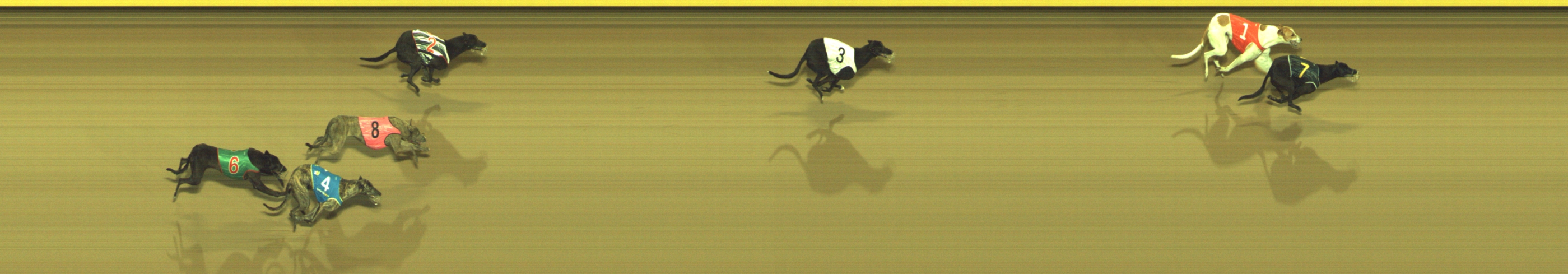 Race result finish photo